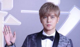 养网红男明星,颜值与才华的完美融合