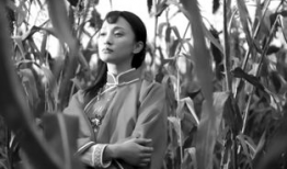 红高粱类似的电视剧,战地情缘