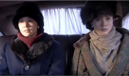 真假夫人 电视剧,爱恨纠葛，真相揭晓