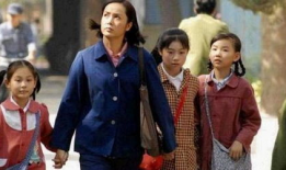 电视剧 家庭,温情岁月里的爱与成长